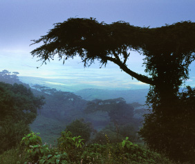 landmarkGabon